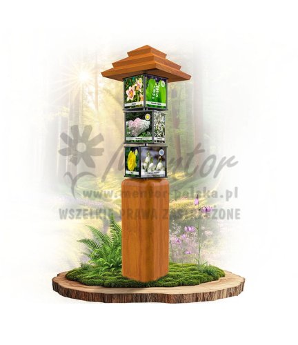 SWI71 - Kwiaty w różnych porach roku_dab.jpg