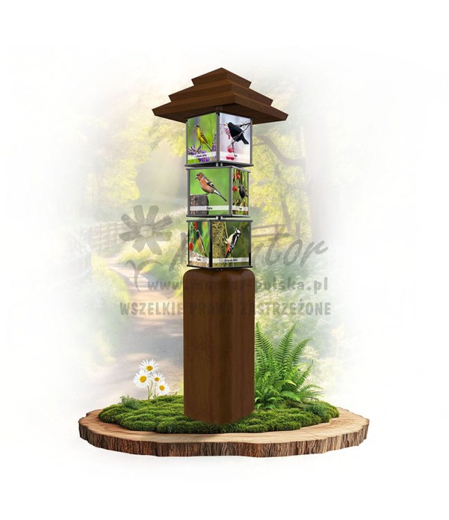 SWI72 - Ptaki w ogrodzie_braz.jpg