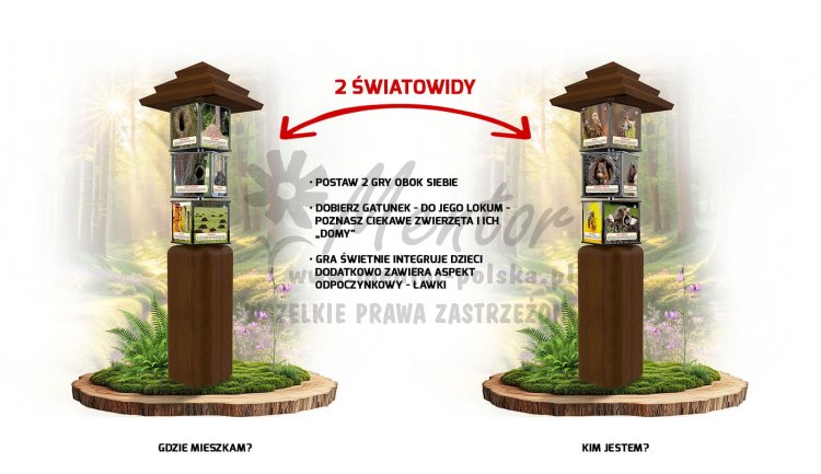 SWI61 - Gdzie mieszkam kim jestem_braz.jpg