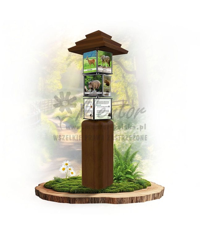 SWI66 - Ssaki duże w lesie_braz.jpg