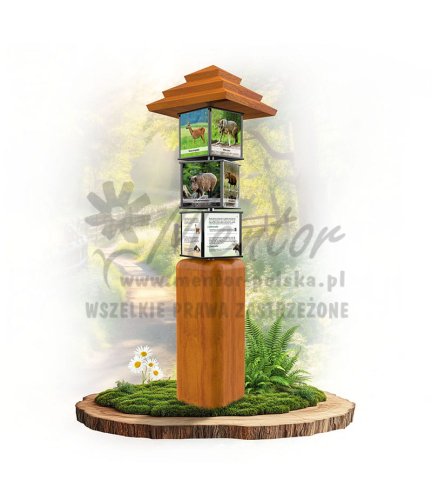 SWI66 - Ssaki duże w lesie_dab.jpg