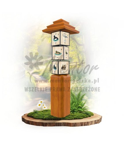 SWI16 - Ptaki wodne_dab.jpg