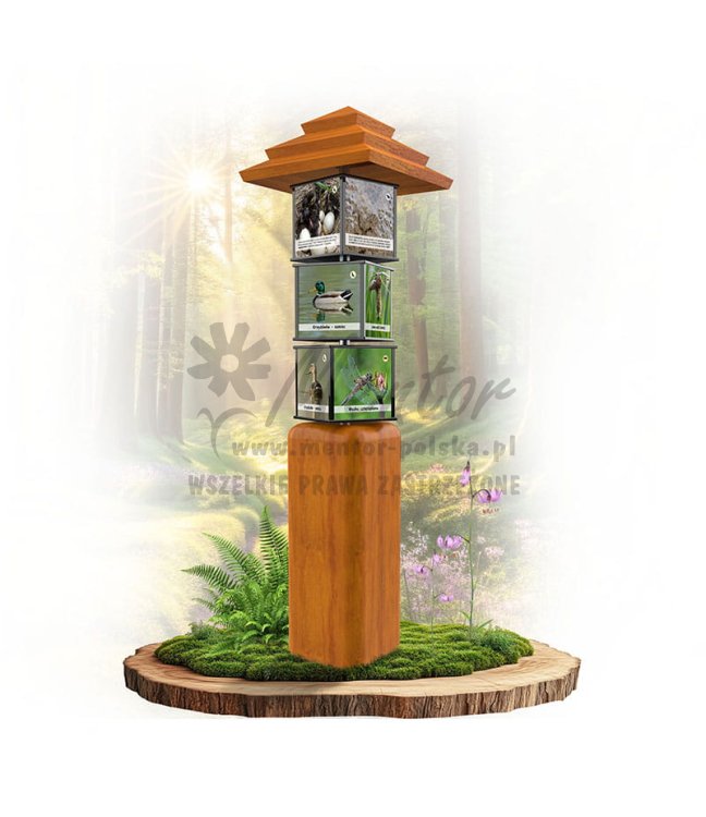 SWI13 - Cykle rozwojowe II_dab.jpg