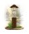 SWI05 - Grzyby chronione_braz.jpg