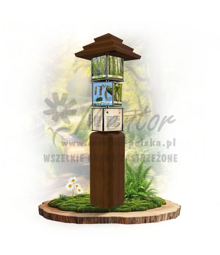 SWI02 - Drzewa liściaste_braz.jpg