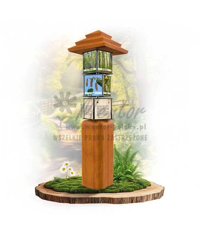 SWI02 - Drzewa liściaste_dab.jpg