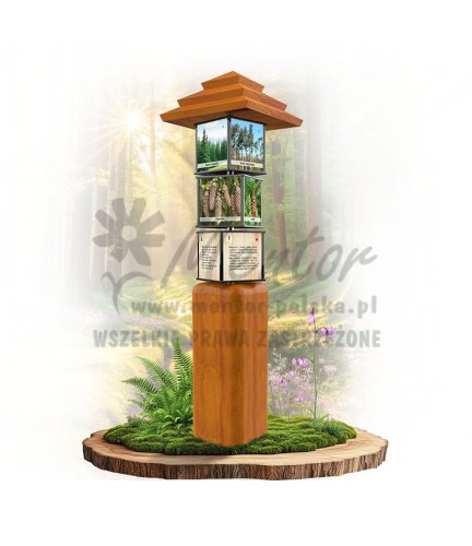 SWI01 - Drzewa iglaste_dab.jpg