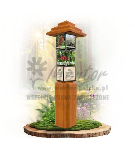 SWI29 - Krzewy polne_dab.jpg