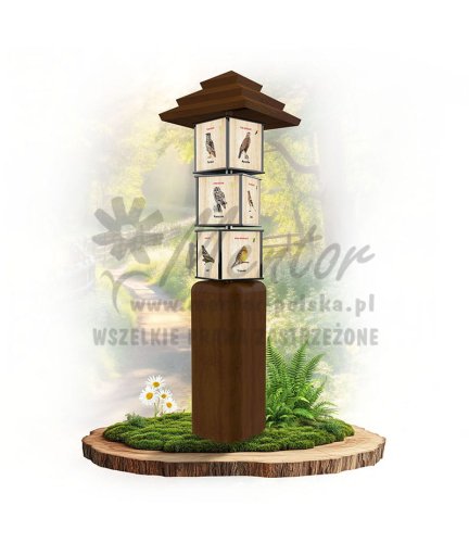 SWI36 - Ptaki leśne_braz.jpg