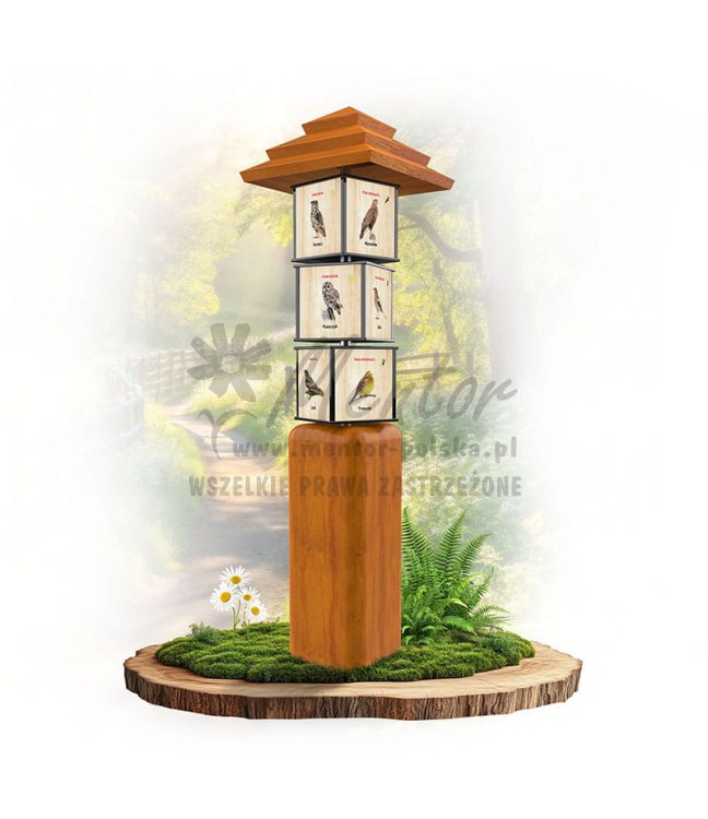 SWI36 - Ptaki leśne_dab.jpg