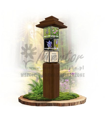 SWI39 - Rośliny łąkowe_braz.jpg