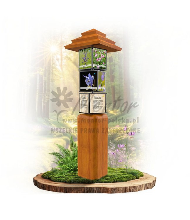 SWI39 - Rośliny łąkowe_dab.jpg