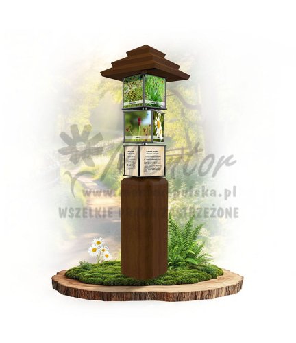 SWI44 - Zioła polne_braz.jpg