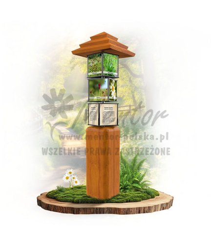 SWI44 - Zioła polne_dab.jpg