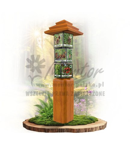 SWI47 - Drzewa i krzewy iglaste_dab.jpg