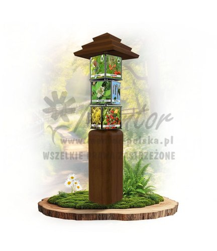 SWI48 - Drzewa i krzewy liściaste_braz.jpg