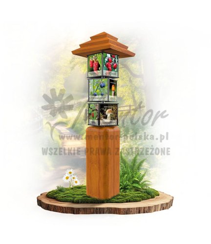 SWI74 - Grzyby i owoce leśne impregnat dąb