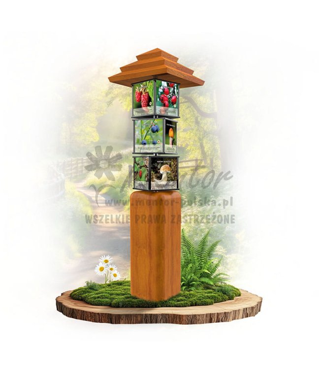 SWI74 - Grzyby i owoce leśne impregnat dąb