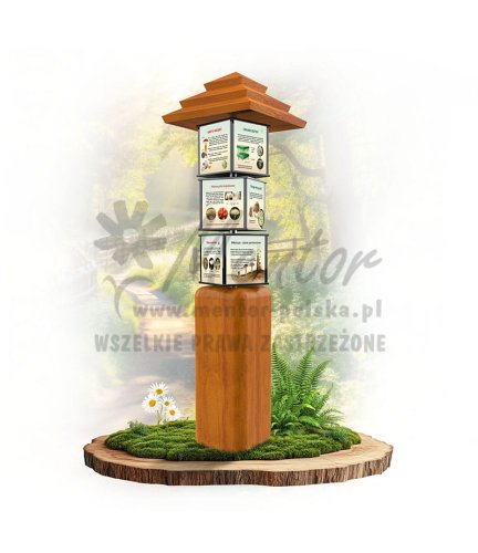 SWI75 - Ciekawostki mykologiczne impregnat  dab