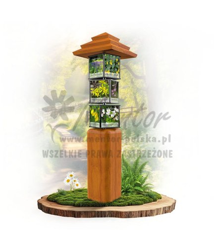 SWI76 - ROŚLINY ZIELNE impregnat  dab