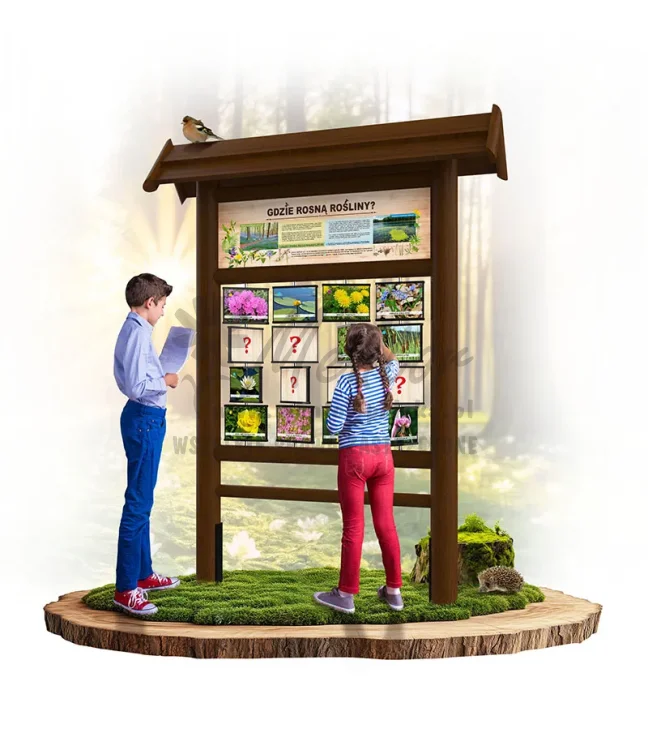 PAM26 - Gdzie rosną rośliny - brąz_webp.webp