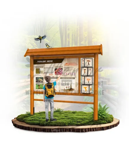 WAD02 - Poznajemy grzyby - dąb_webp.webp