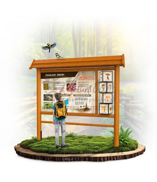 WAD02 - Poznajemy grzyby - dąb_webp.webp