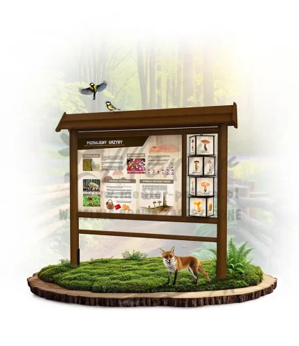 WAD02 - Poznajemy grzyby - brąz_webp.webp