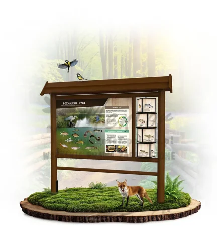 WAD03 - Poznajemy ryby - brąz_webp.webp