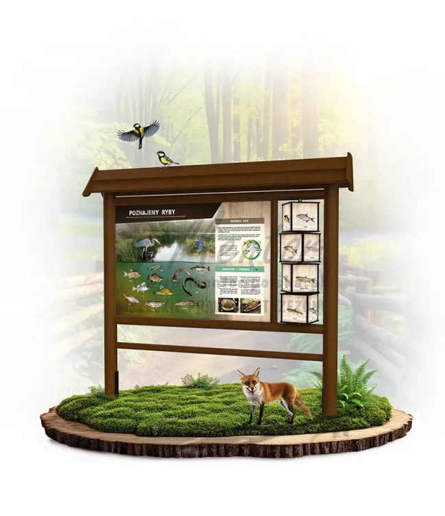 WAD03 - Poznajemy ryby - brąz_webp.webp