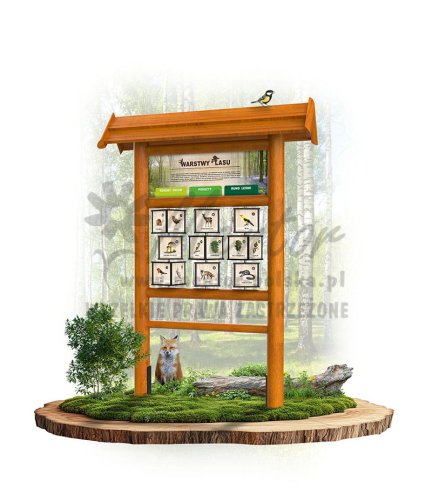 KW01 - warstwy lasu - dąb.jpg