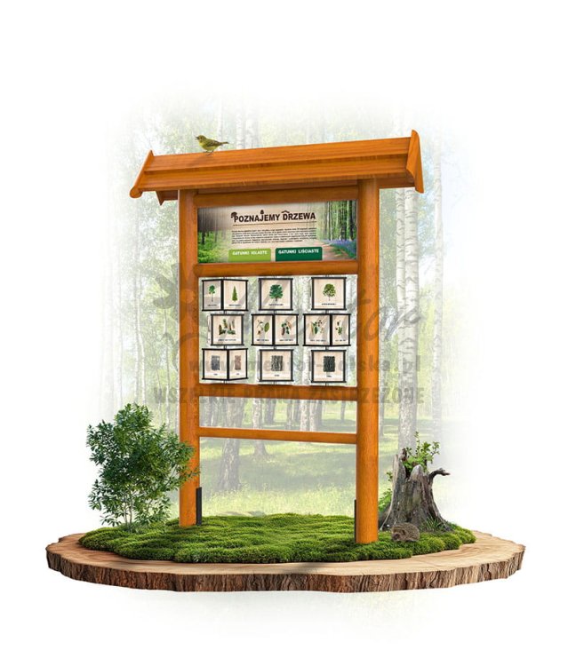 KW03 poznajemy drzewa - dąb.jpg