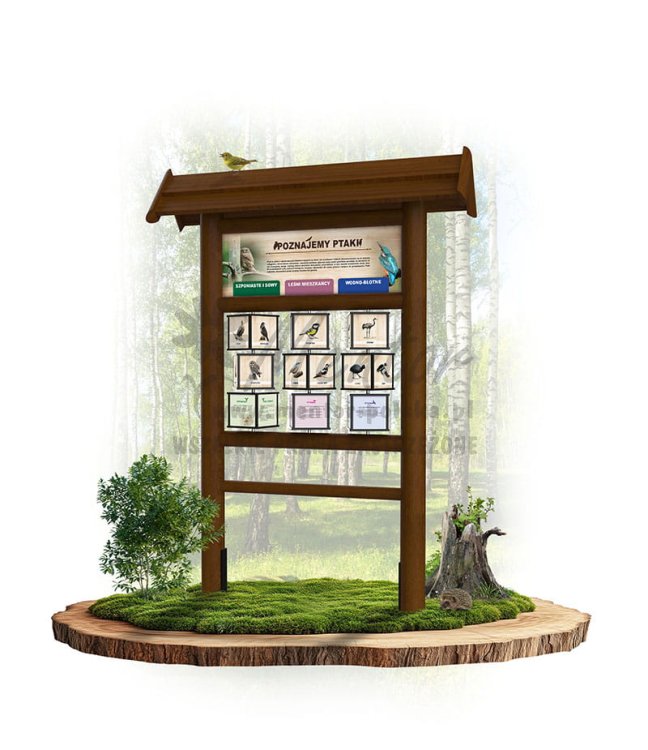 KW04 poznajemy ptaki - brąz.jpg