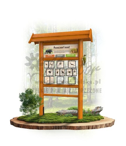 KW05 poznajemy ssaki - dąb.jpg