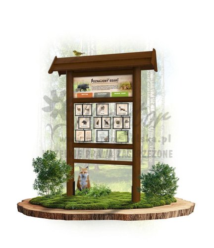 KW05 poznajemy ssaki - brąz.jpg