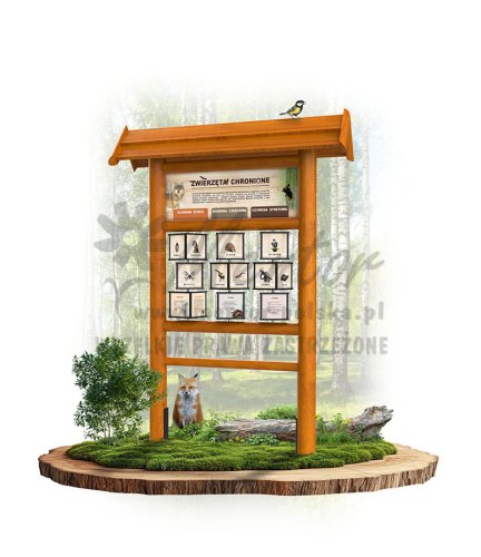 KW06 zwierzeta chronione - dąb.jpg