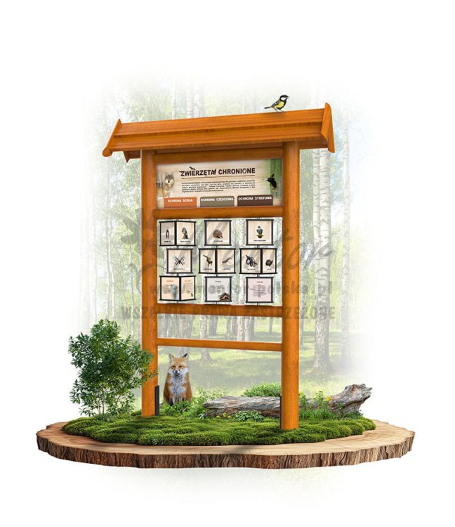 KW06 zwierzeta chronione - dąb.jpg