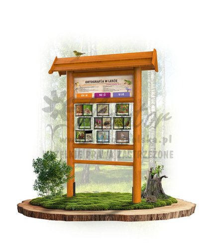 KW13 ortografia w lesie - dąb.jpg