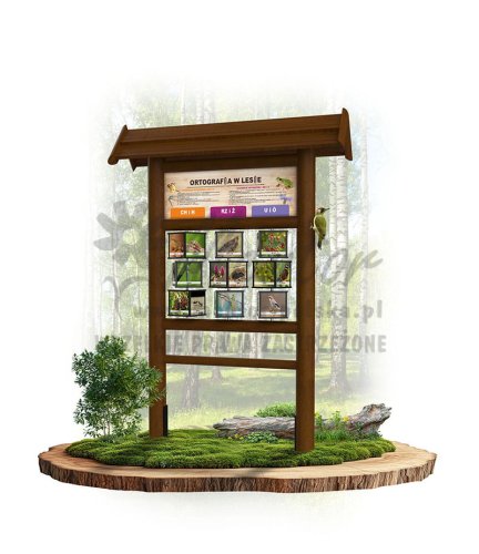 KW13 ortografia w lesie - brąz.jpg