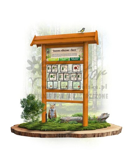 KW16 drzewa rodzime i obce - dąb.jpg