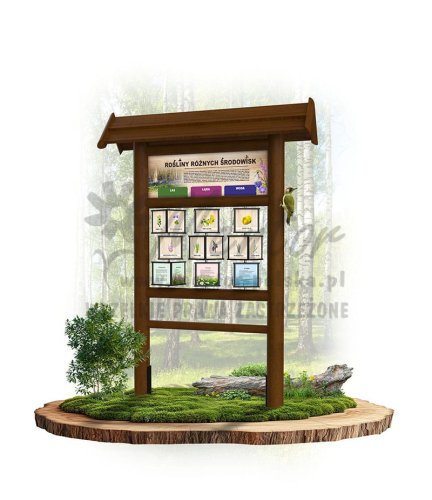 KW18 rośliny różnych środowisk - brąz.jpg