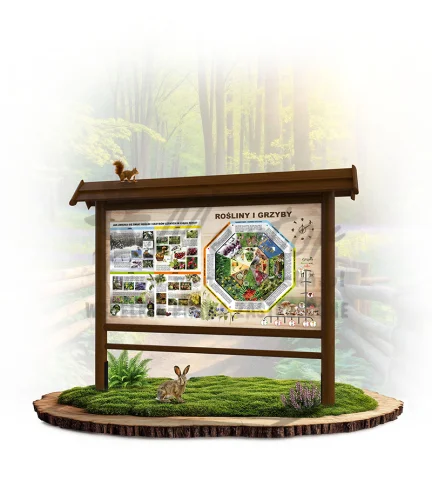 ZEG07 - Zegar Przyrody - Rok w lesie - rośliny i grzyby - brąz_webp.webp
