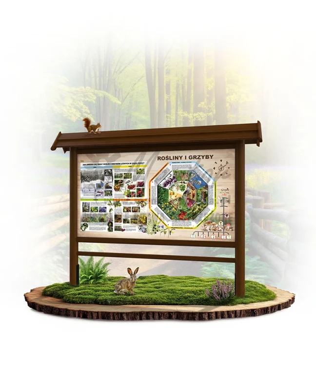 ZEG07 - Zegar Przyrody - Rok w lesie - rośliny i grzyby - brąz_webp.webp
