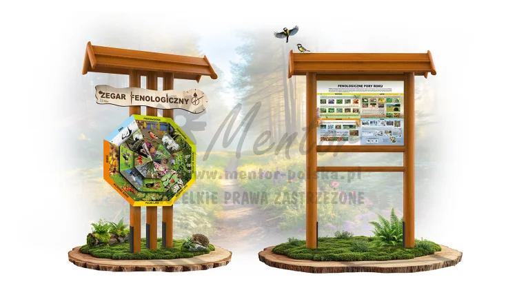 Zegar przyrody_zegar fenologiczny II - pory roku_razem - dąb_webp.webp