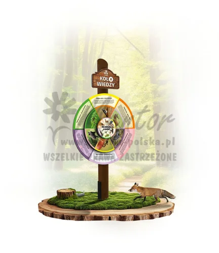 KWKMWL-KP1S - Kto mieszka w lesie_braz_webp.webp