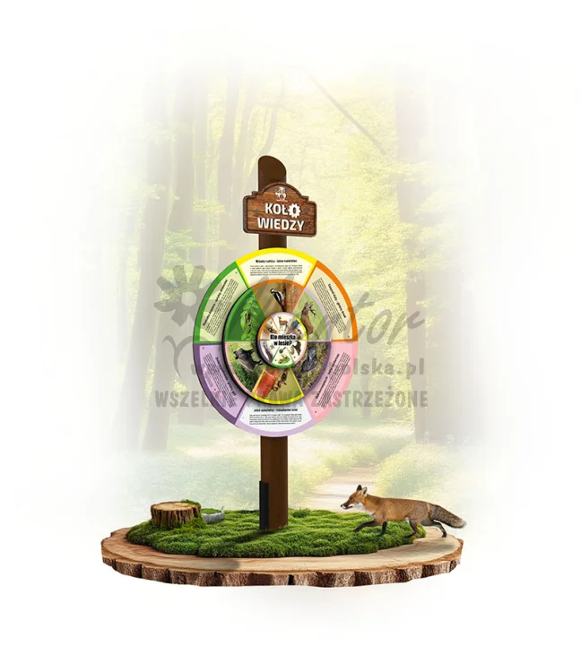 KWKMWL-KP1S - Kto mieszka w lesie_braz_webp.webp