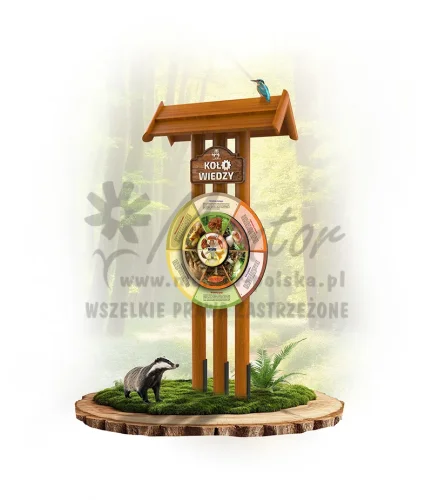 KWG-KP3S - Grzyby - dąb_webp.webp