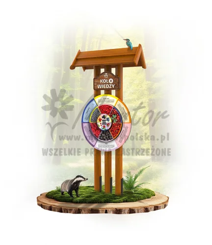 KWOLJ-KP3S - Owoce leśne jadalne - dąb_webp.webp