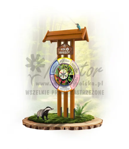 KWOLT-KP3S - Owoce leśne trujące - dąb_webp.webp