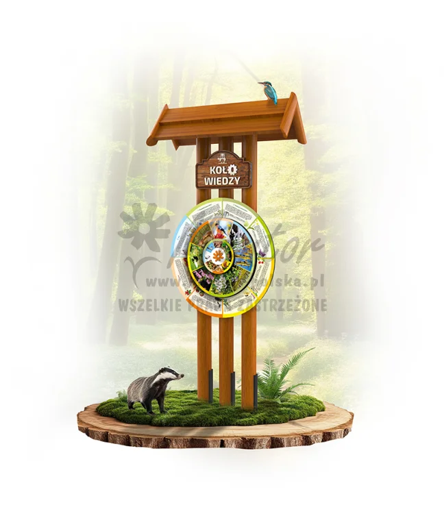 KWZF-KP3S - Zegar fenologiczny - dąb_webp.webp